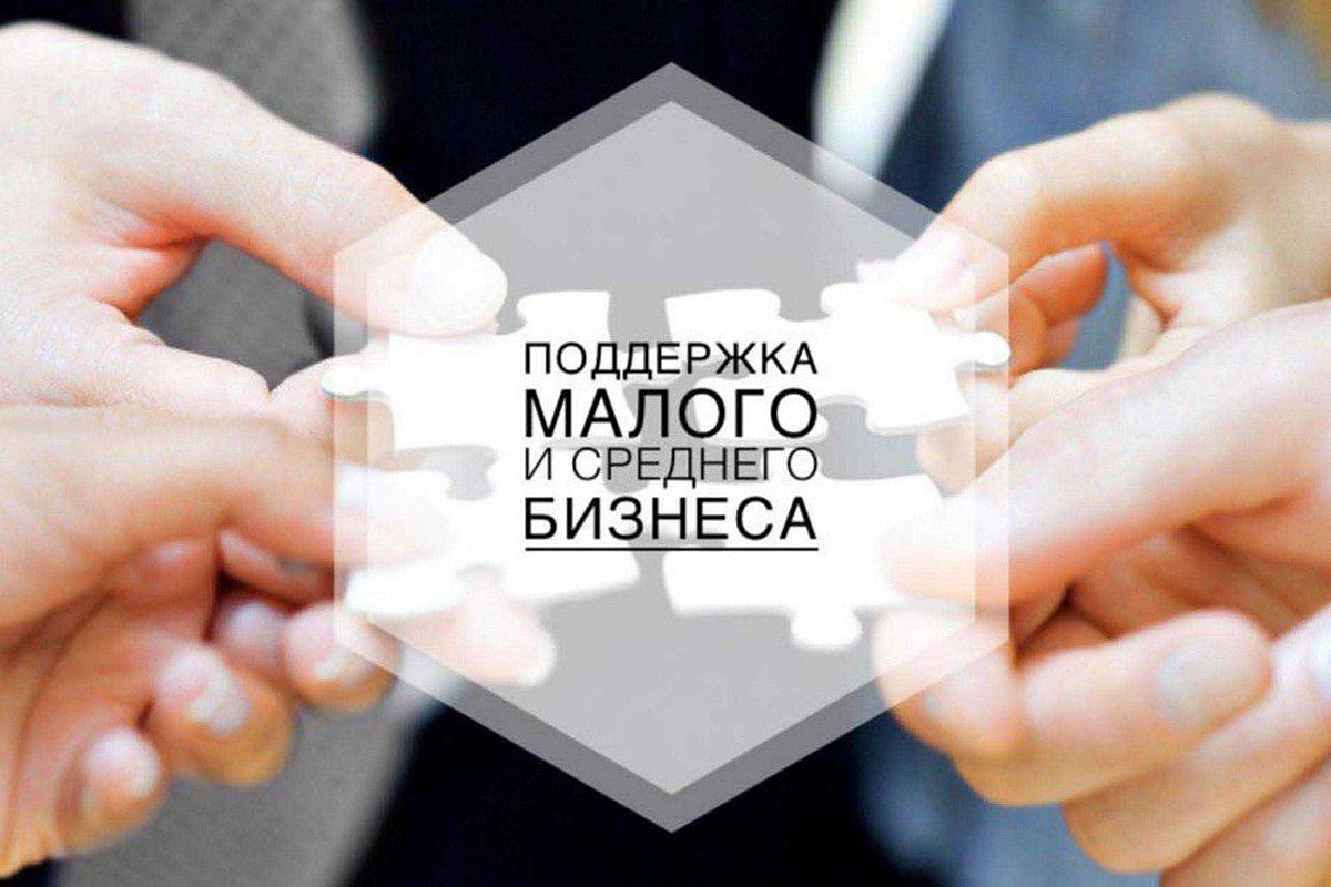 МЕРЫ ГОСУДАРСТВЕННОЙ ПОДДЕРЖКИ ДЛЯ ПРЕДПРИНИМАТЕЛЕЙ, ОСУЩЕСТВЛЯЮЩИХ ДЕЯТЕЛЬНОСТЬ НА ТЕРРИТОРИИ РЕСПУБЛИКИ ДАГЕСТАН.