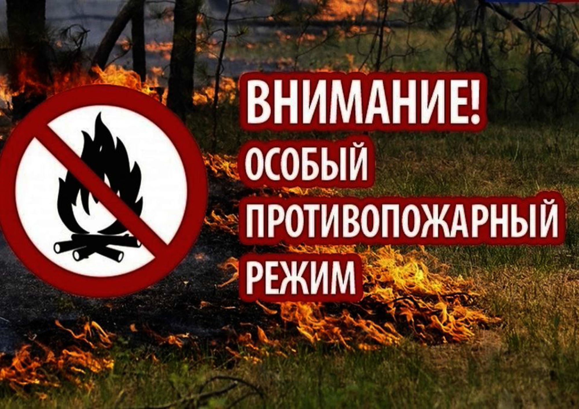 О запрете несанкционированного выжигания сухой травы.