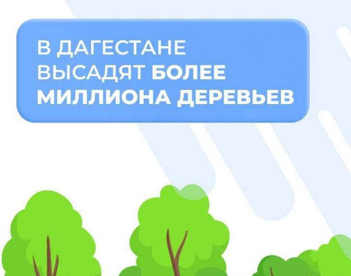 В Дагестане стартовала масштабная посадка деревьев. В Дагестане стартовала масштабная посадка деревьев.